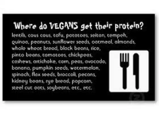 What About Protein?