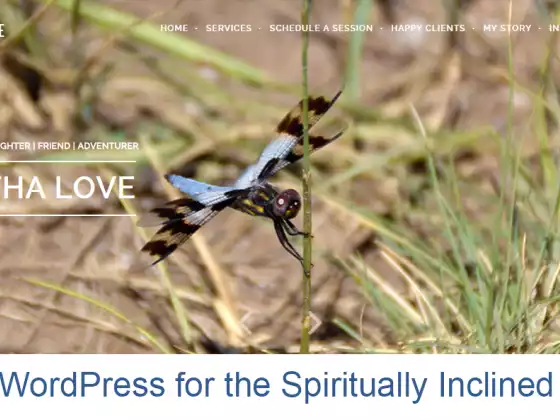 WordPress for the Spiritually Inclined (Zenith School)