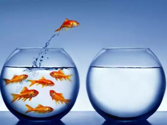 Letting Go of God Meditation 4