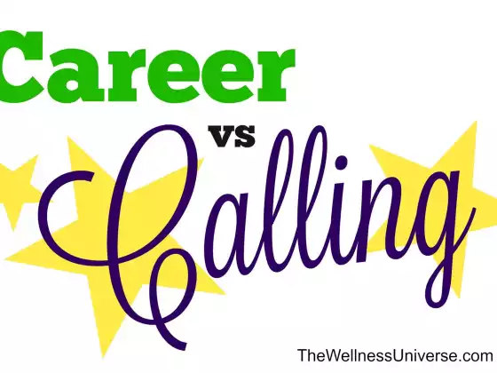 Career vs Calling 