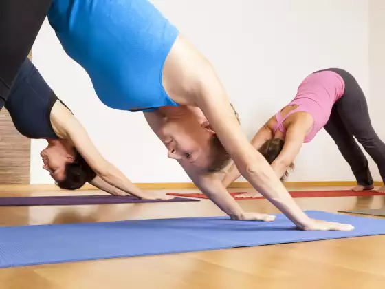 Basic Yoga