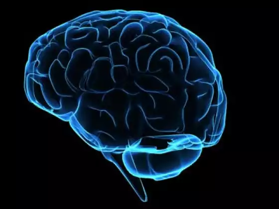 Rewiring Your Brain for Success