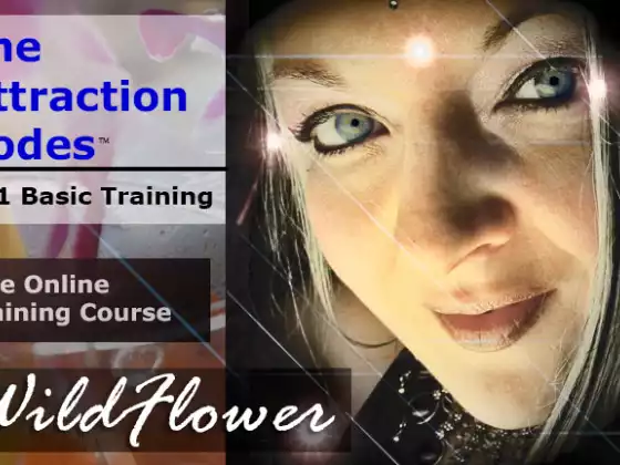 The Attraction Codes 101: How To Clear Your Energy To Become An Abundance Magnet