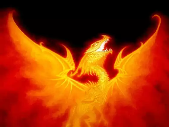 Roar like a Dragon