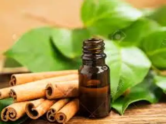 Cinnamon Essential Oil