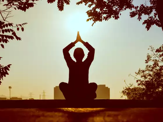 Mindful Movement