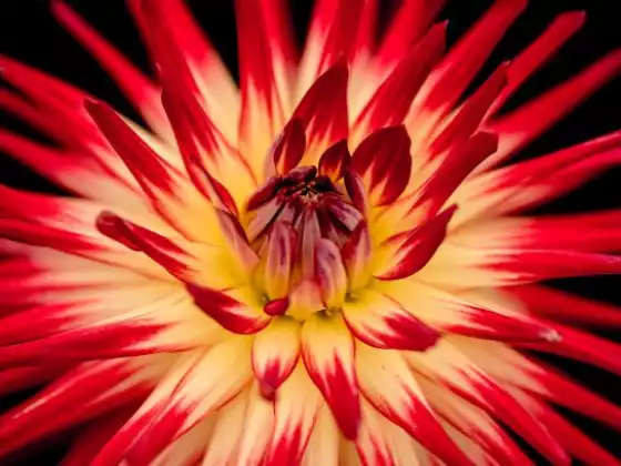 Holy Fire Reiki Experience