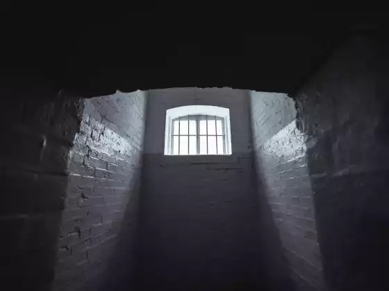 LMTV: ¡Liberen al prisionero! (Sara Jane)