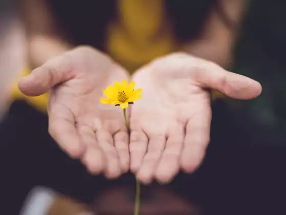 ¡Sanación de Reiki para ti y tus seres queridos!