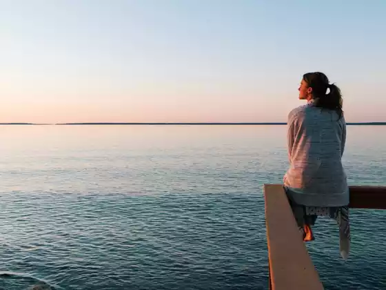 Stress and Resiliency