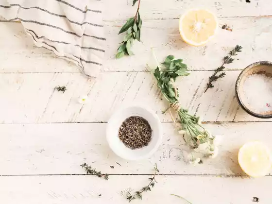 The Power of Plant Medicine: Intro to Ceremonies