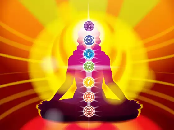 Curando seus Chakras Série Classe 2 Raiz e Sacral