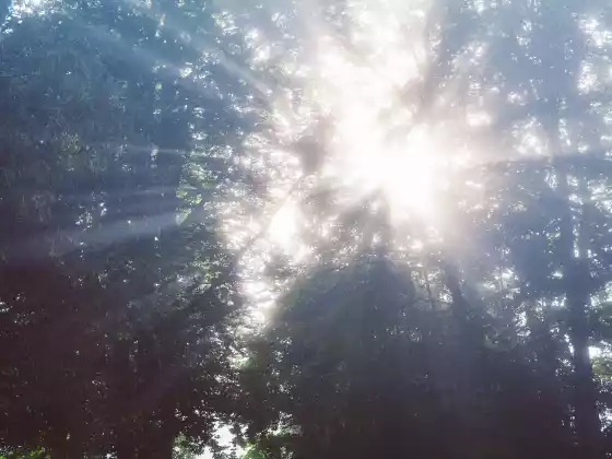 Creating Space for Your Intuition
