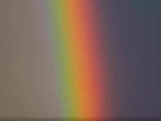 오오라 장의 층