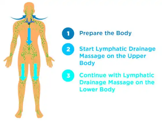 Gönnen Sie sich eine Lymphdrainage-Selbstmassage 3 Kurse