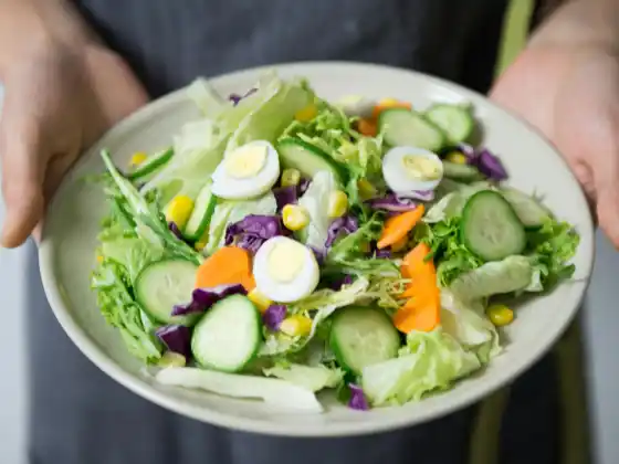 Diplôme de certification en nutrition : planification diététique et préparation des repas
