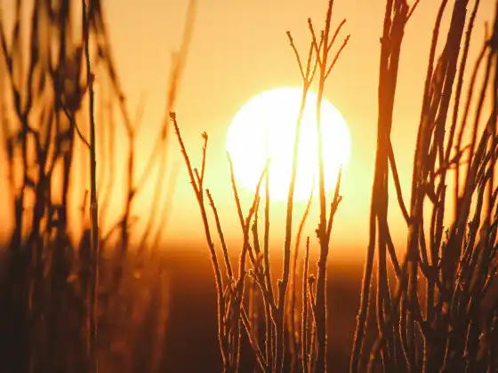Energy Healing for our Mental Health and Q&A with Hippocrates