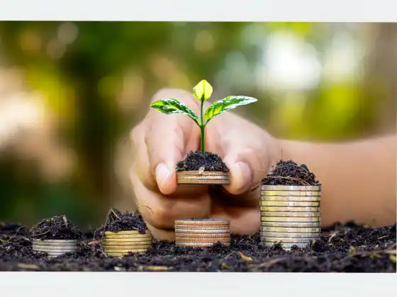 5 Steps For Financial Health - Clear Toxic Money Blocks