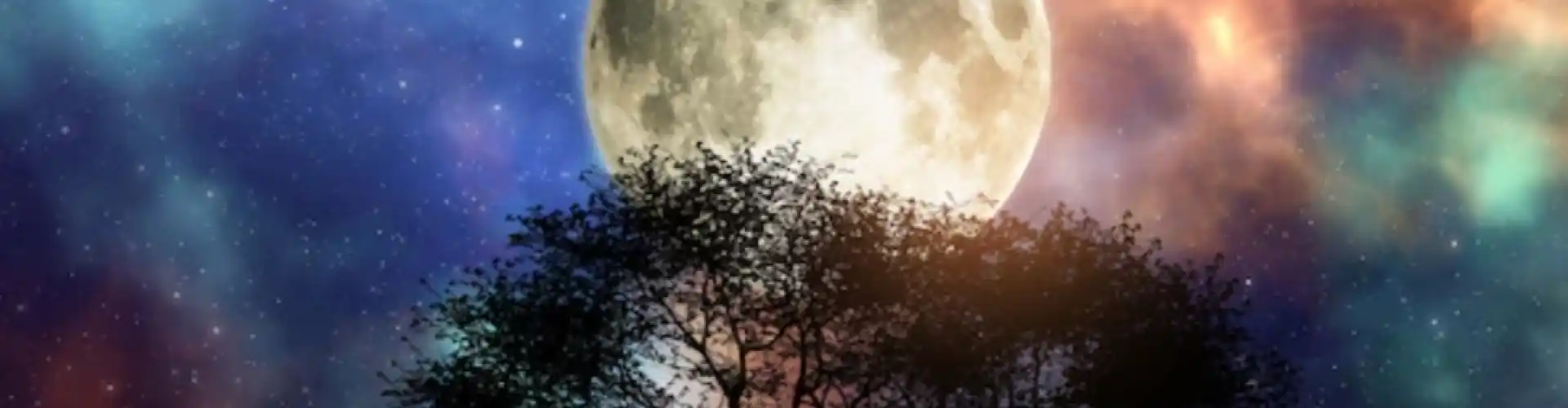 Meditación del chakra de luna llena - Online Class by Cassaundra Paolini