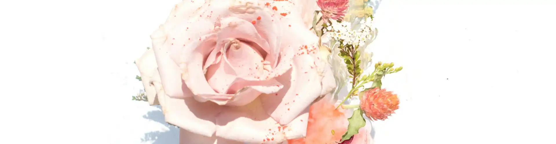 Acompanhamento de Mestrado em Reiki - Online Class by Jamie Butler