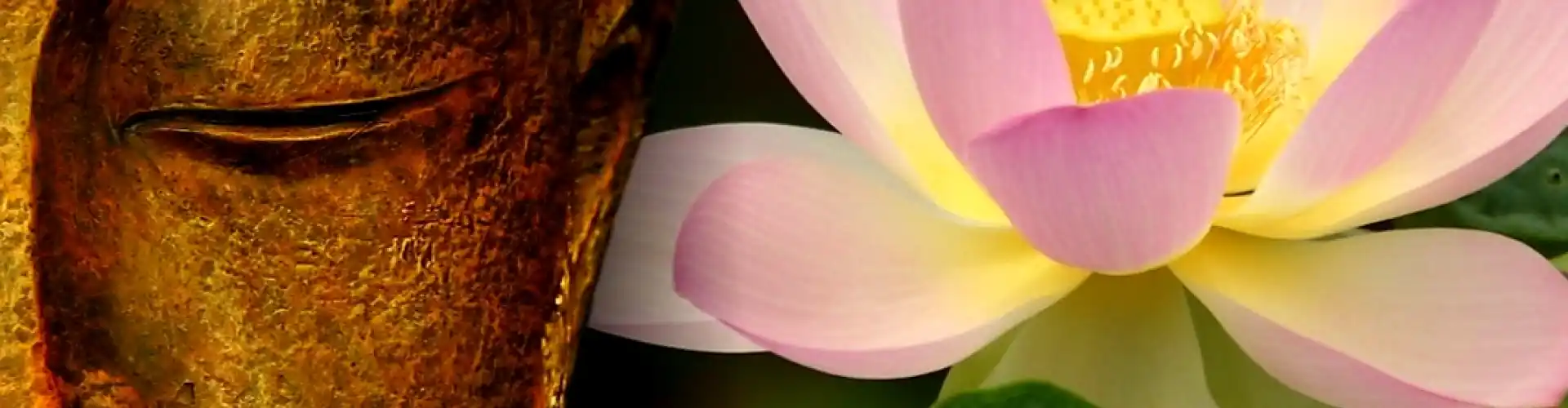 Reiki Tingkat Dua - Online Class by Cassaundra Paolini