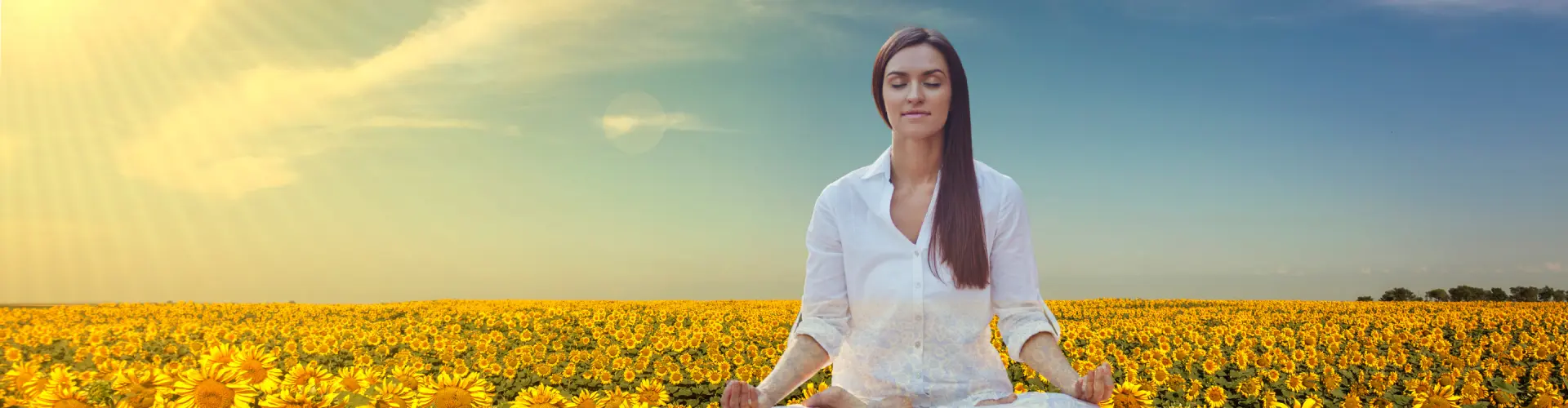 Bundle: Симпозіум літнього сонцестояння - Online Course by Learn It Live