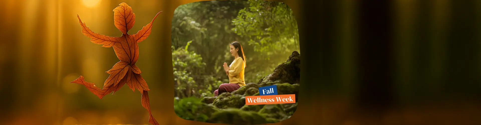 Autumn’s Embrace: A Fall Equinox Reiki Meditation - Online Class by Jerry Mikutis