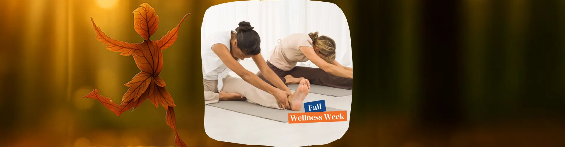 Memahami Lantai Pelvik anda - Ia Sambungan kepada Kehidupan Harian dan Amalan Yoga Anda - Online Class by Stacey Melick