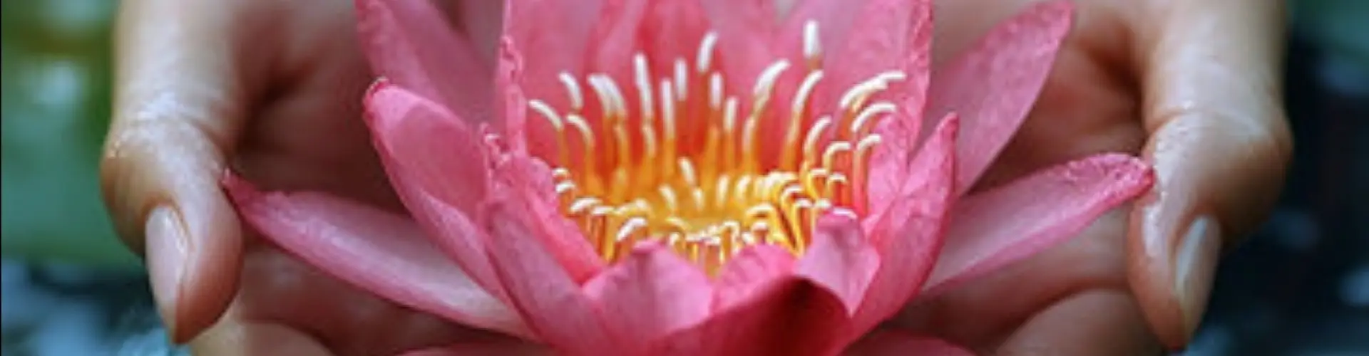 Reiki Tahap 2 Okuden - Online Class by Cassaundra Paolini