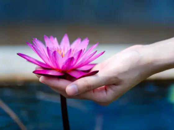 Reiki Tahap 1 Shoden