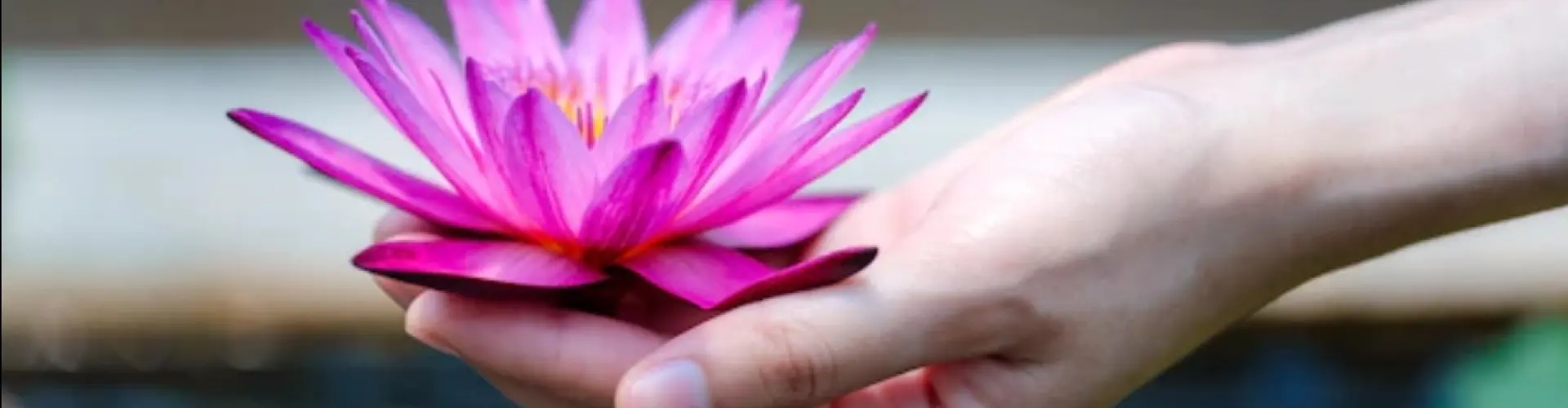 Reiki Tahap 1 Shoden - Online Class by Cassaundra Paolini